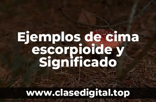 Ejemplos de cima escorpioide y Significado