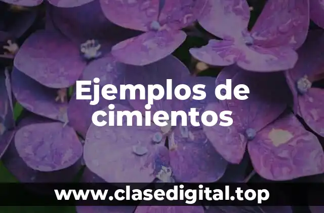 Ejemplos de cimientos