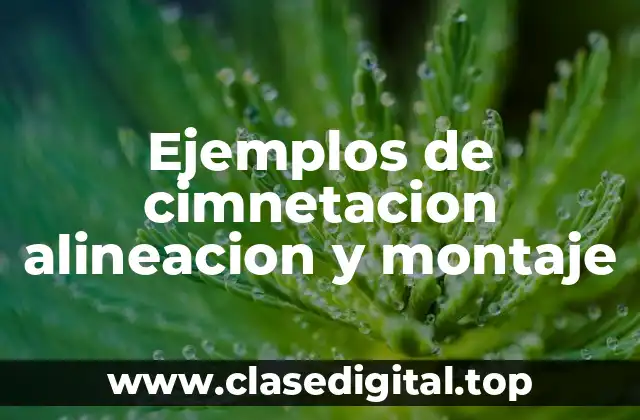 Ejemplos de cimnetacion alineacion y montaje