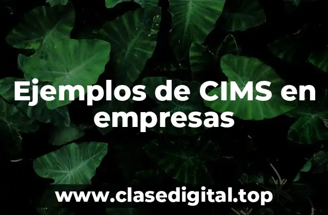 Ejemplos de CIMS en empresas