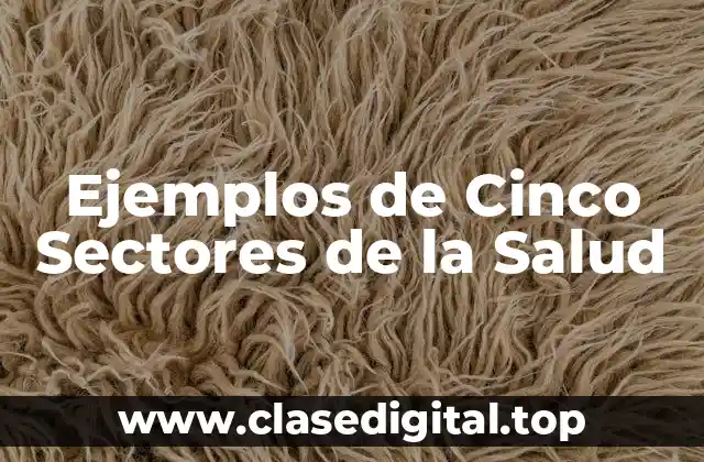Ejemplos de Cinco Sectores de la Salud
