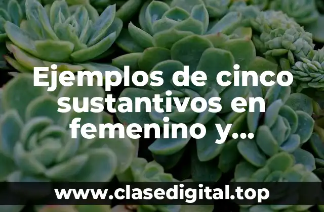 Ejemplos de cinco sustantivos en femenino y Significado