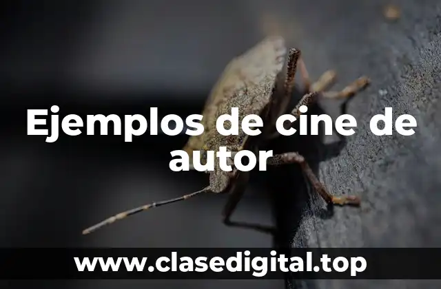 Ejemplos de cine de autor