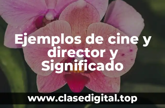 Ejemplos de cine y director y Significado