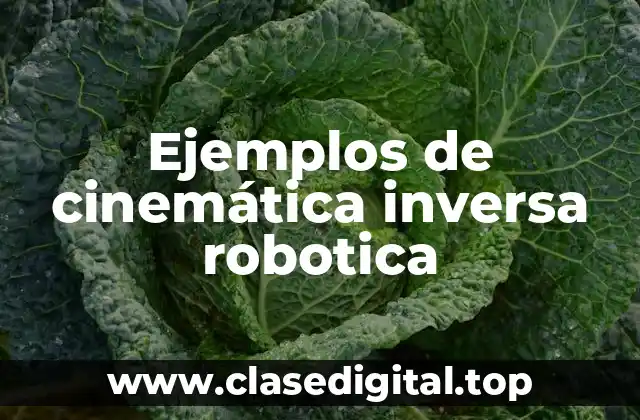 Ejemplos de cinemática inversa robotica