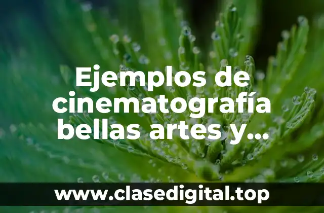 Ejemplos de cinematografía bellas artes