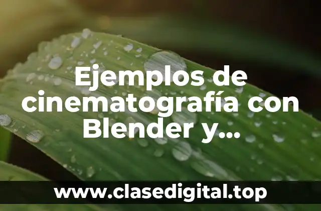 Ejemplos de cinematografía con Blender y Significado
