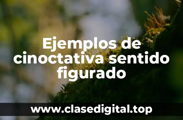 Ejemplos de cinoctativa sentido figurado
