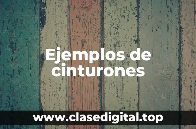 Ejemplos de cinturones