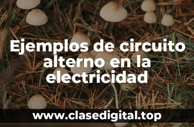 Ejemplos de circuito alterno