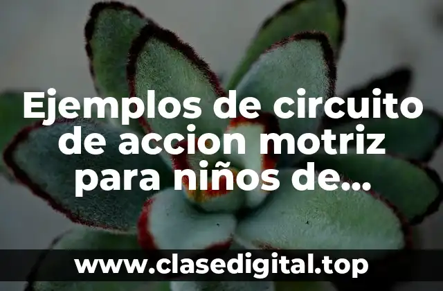 Ejemplos de circuito de accion motriz para niños de preescolar