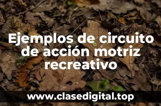 Ejemplos de circuito de acción motriz recreativo