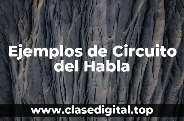 Ejemplos de Circuito del Habla