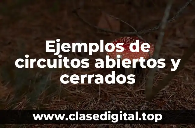 Ejemplos de circuitos abiertos y cerrados