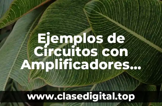 Ejemplos de Circuitos con Amplificadores Operacionales