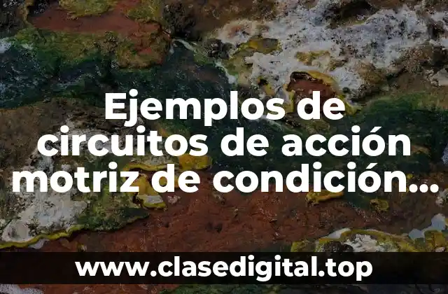 Ejemplos de circuitos de acción motriz de condición física