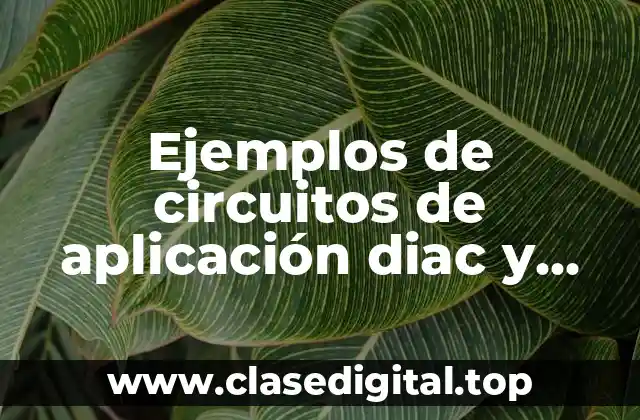 Ejemplos de circuitos de aplicación diac y Significado