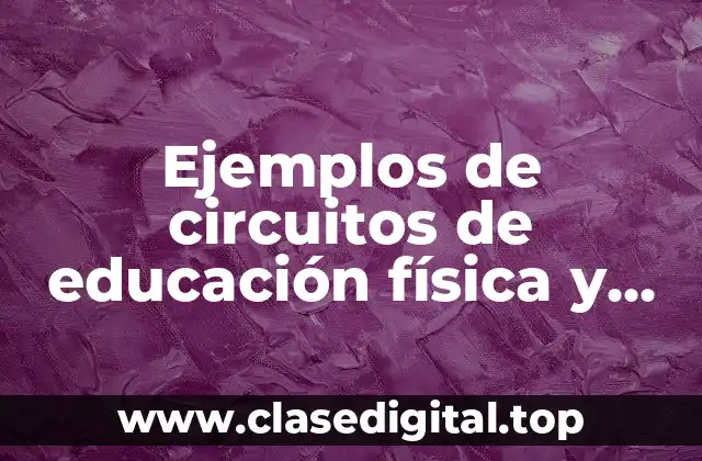 Ejemplos de circuitos de educación física