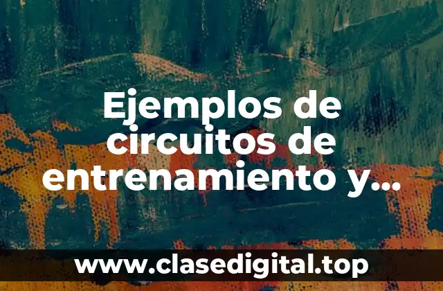 Ejemplos de circuitos de entrenamiento