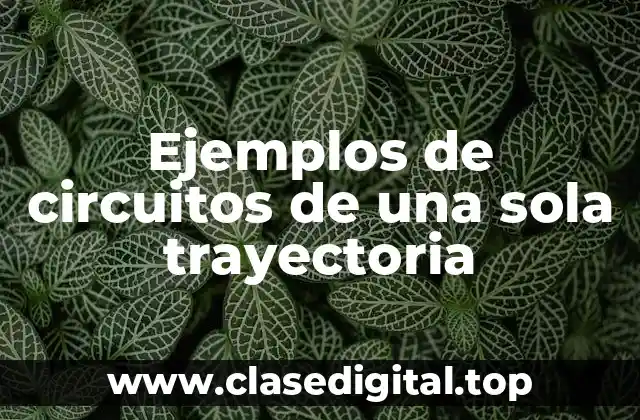 Ejemplos de circuitos de una sola trayectoria