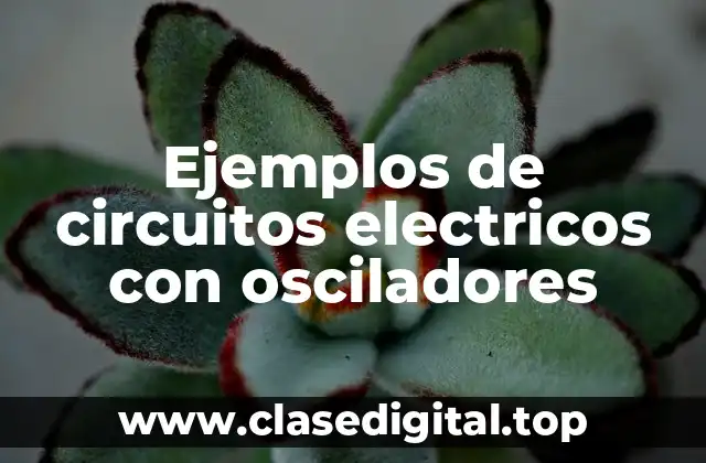Ejemplos de circuitos electricos con osciladores