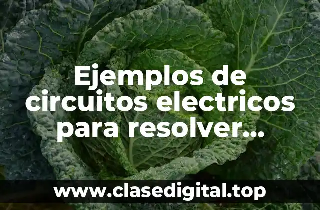 Ejemplos de circuitos electricos para resolver sistemas de ecuaciones