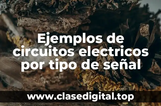 Ejemplos de circuitos electricos por tipo de señal