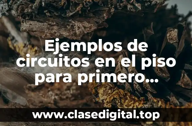 Ejemplos de circuitos en el piso para primero primaria