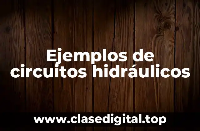 Ejemplos de circuitos hidráulicos