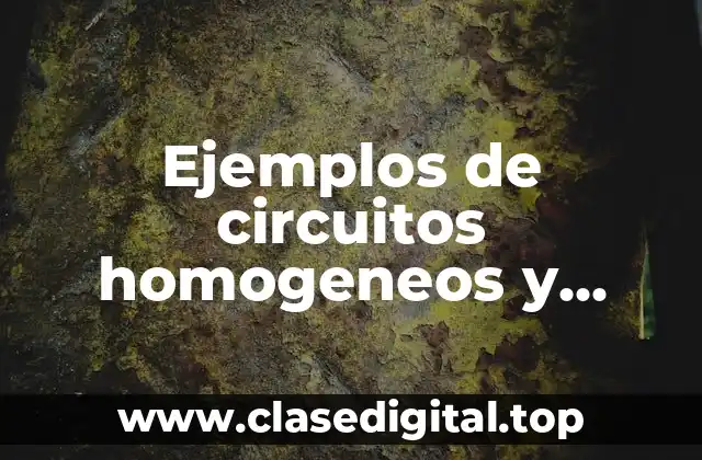 Ejemplos de circuitos homogeneos y Significado
