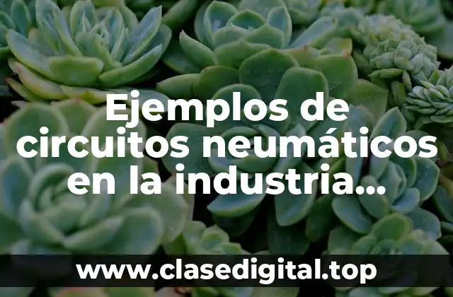 Ejemplos de circuitos neumáticos en la industria alimentaria