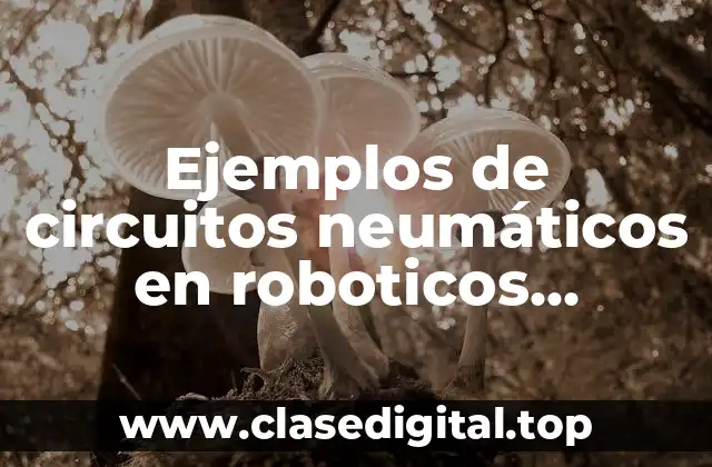 Ejemplos de circuitos neumáticos en roboticos industriales