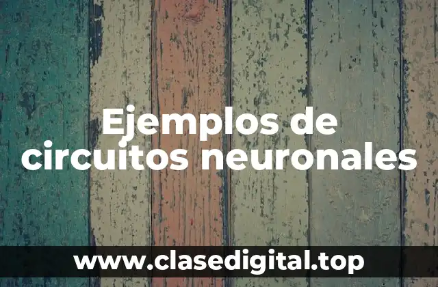 Ejemplos de circuitos neuronales