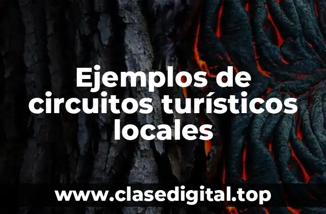 Ejemplos de circuitos turísticos locales