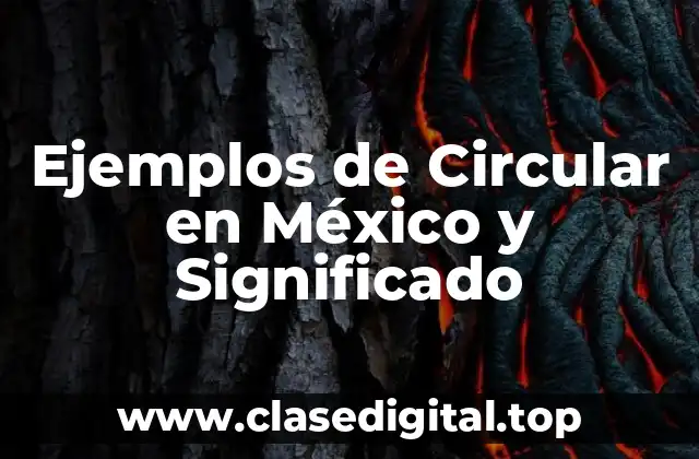 Ejemplos de Circular en México y Significado