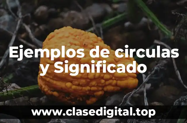 Ejemplos de circulas y Significado