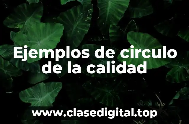 Ejemplos de circulo de la calidad