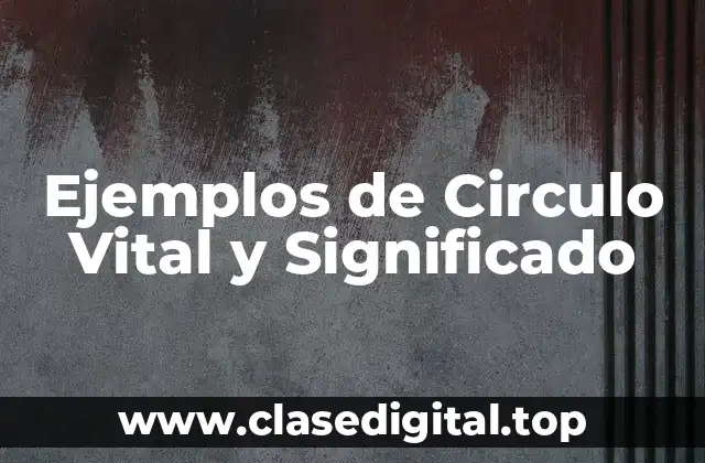 Ejemplos de Circulo Vital y Significado