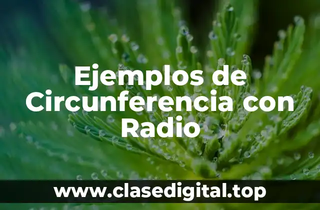 Ejemplos de Circunferencia con Radio