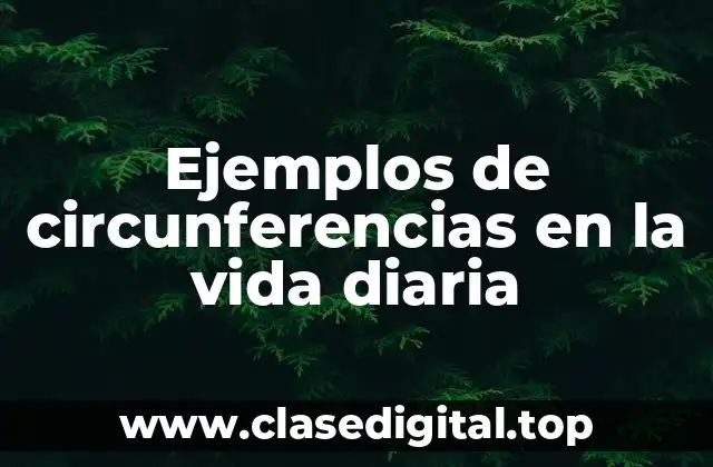 Ejemplos de circunferencias en la vida diaria