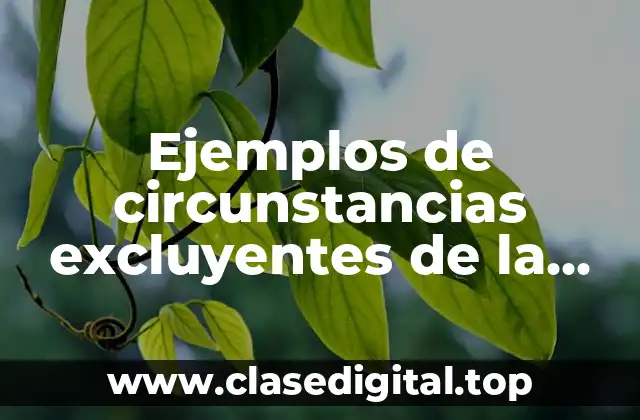 Ejemplos de circunstancias excluyentes de la ilicitud en materia internacional