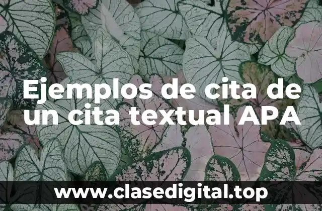 Ejemplos de cita de un cita textual APA