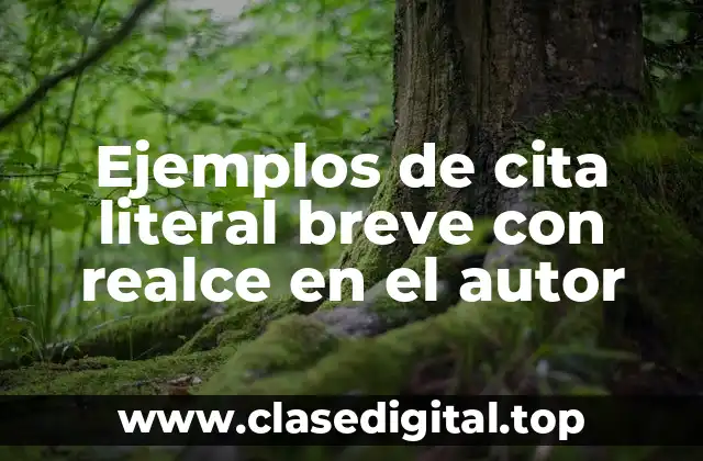 Ejemplos de cita literal breve con realce en el autor