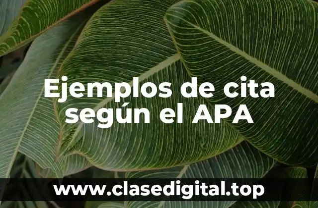 Ejemplos de cita según el APA