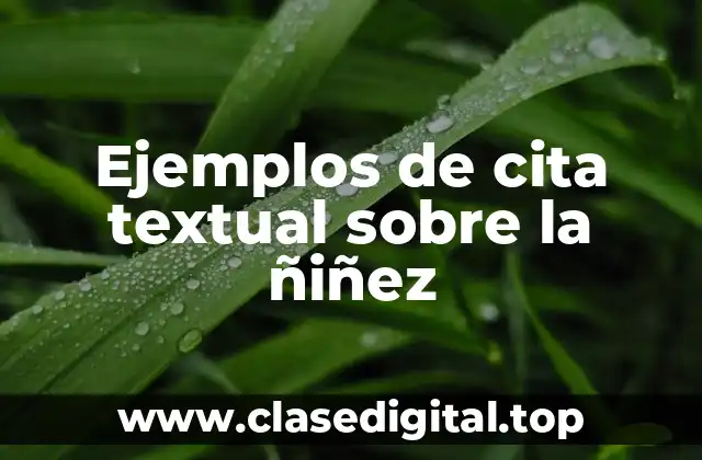 Ejemplos de cita textual sobre la ñiñez