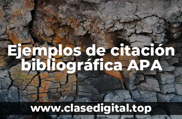 Ejemplos de citación bibliográfica APA