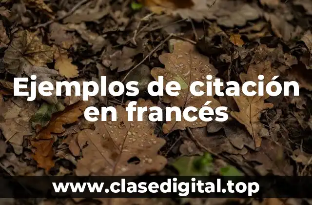 Ejemplos de citación en francés