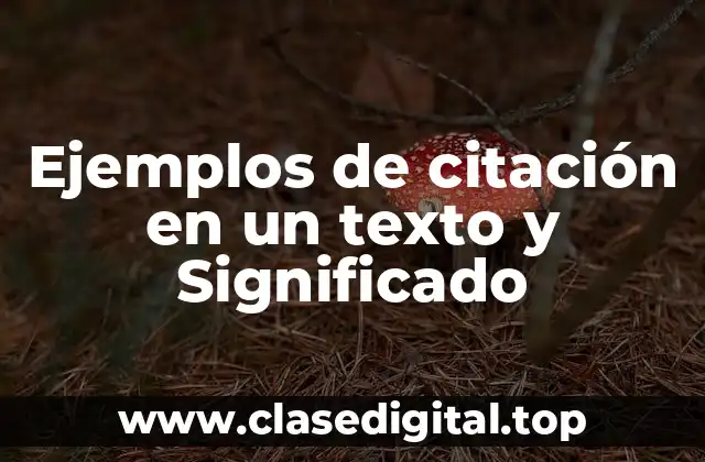 Ejemplos de citación en un texto y Significado