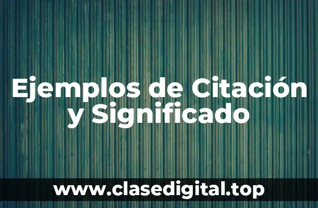 Ejemplos de Citación
