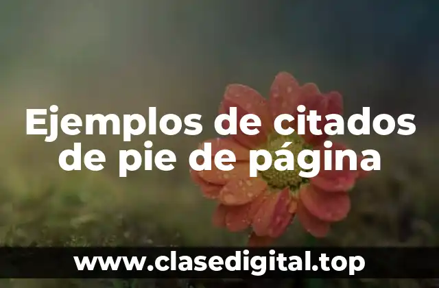 Ejemplos de citados de pie de página